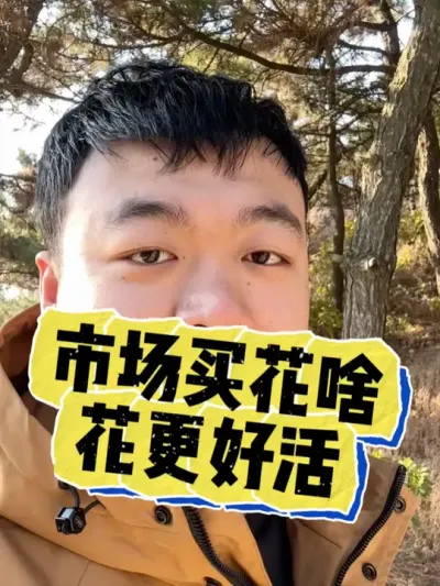 花卉市场买的花，什么养的更好养活。 #养花 #养花小知识 #花卉 #花卉绿植 #盆栽