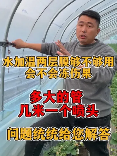 关于冬季大棚保温措施水加温的疑问解答#草莓种植 #农业种植 #草莓种植管理技术和方法 #草莓🍓 #种植大棚