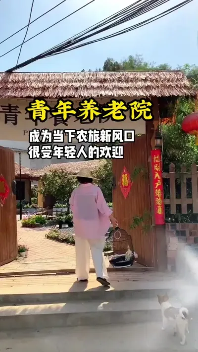 青年养老院成为当下农文旅新风口，很受年轻人欢迎。#游云文旅 #规划设计 #青年养老院#周二课堂
