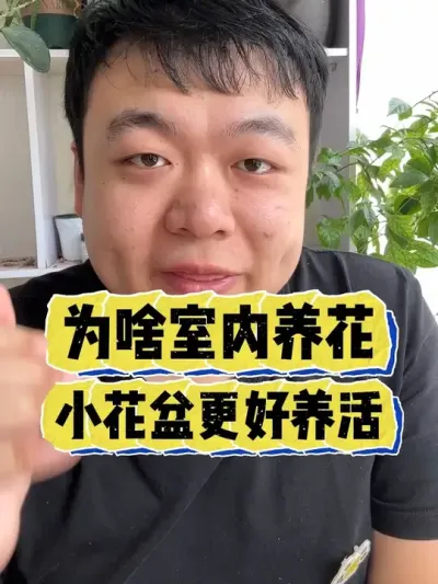 为啥室内养花，小花盆反倒更能养好花。 #养花 #养花小知识 #花卉 #花卉绿植 #盆栽