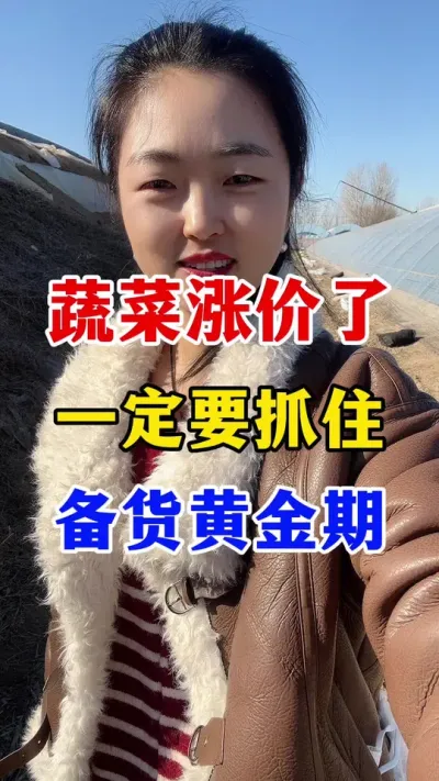 蔬菜开始涨价了一定要抓住黄金时期 #西红柿种植 #西红柿种植技术
