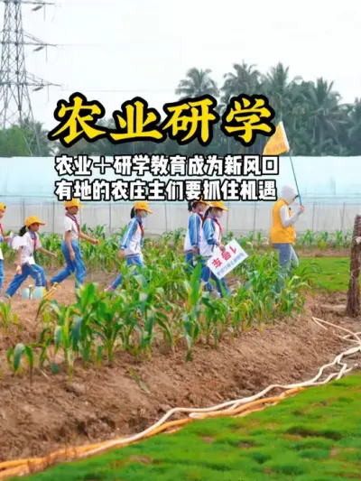 农业研学成为新风口 农业+研学教育成为新的风口，有地的农庄主要抓住这个机遇#游云文旅 #规划设计 #乡村振兴 #研学教育 #农业