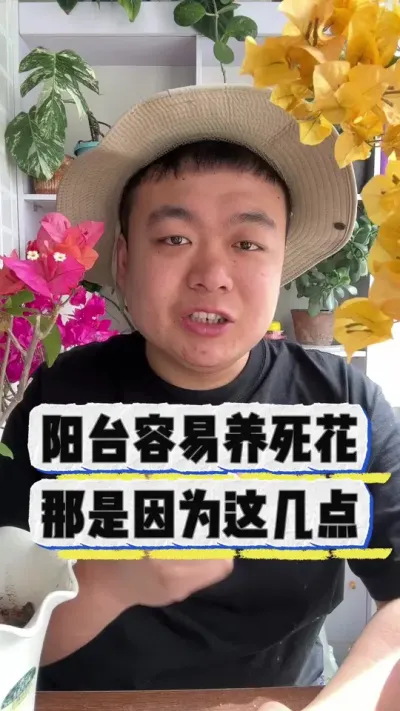 阳台养不活花？那是因为这几点你不知道。 #养花 #养花小知识 #花卉 #花卉绿植 #盆栽