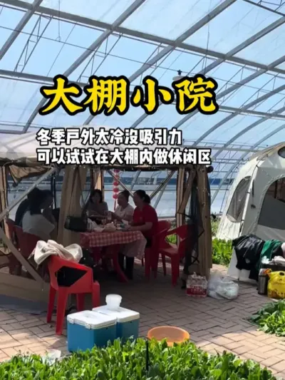 大棚小院 这家小院通过在大棚空间内，打造创意休闲用餐区，在冬季吸引了很多游客前来体验#游云文旅 #规划设计 #乡村振兴 #小院改造 #农庄策划