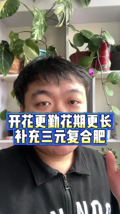 养花如何可以开花更勤，花期更长，补充营养很重要。 #养花 #养花小知识 #花卉 #花卉绿植 #盆栽
