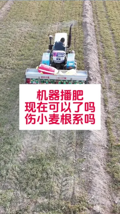 机器播肥现在可以吗？伤小麦根系吗 #分享农业知识帮农民增产增收 #支持三农扶持三农发展