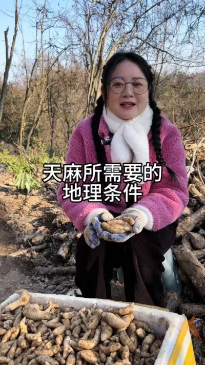 天麻所需要的地理条件 #新农人计划 #天麻种植 #种植小技巧 @抖音小助手