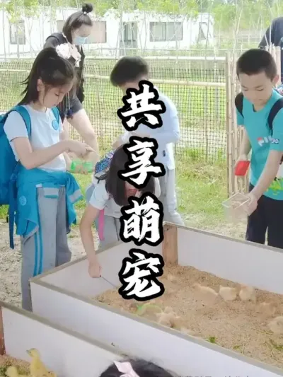共享萌宠#游云文旅 #规划设计 #周二课堂 #农场规划