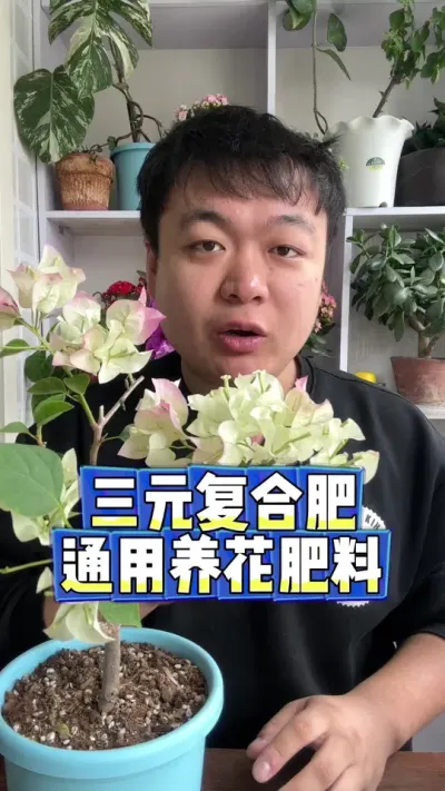 三元复合肥，小张一直在用的养花通用肥。 #养花小知识 #花卉绿植 #养花 #花卉 #盆栽