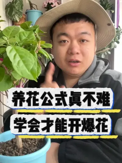 养花公式真不难，学会才能开爆花。 #养花 #养花知识#花卉 #花卉绿植 #盆栽