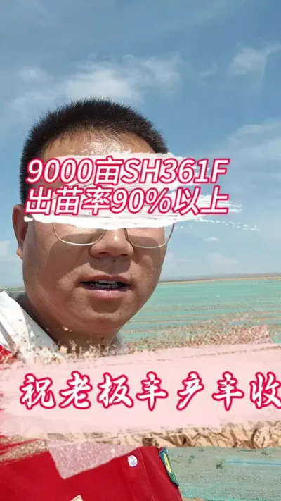 面积大，怎么管理你们说#丰向标