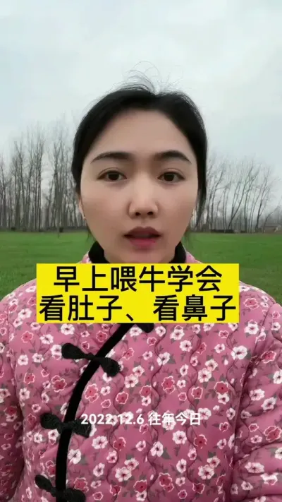 #农村养牛人 #西门塔尔 #养牛技术 #科学养殖 #三农服务