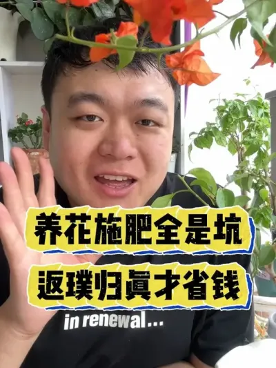 养花施肥全是坑，返璞归真才省钱。 #养花 #养花小知识 #花卉 #花卉绿植 #盆栽