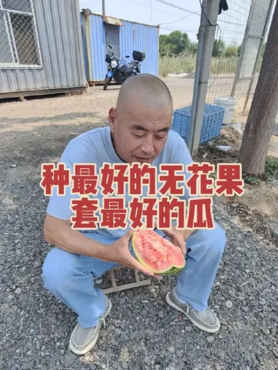 真真真真的好吃啊#耿记无花果种植专业合作社 #无花果树苗