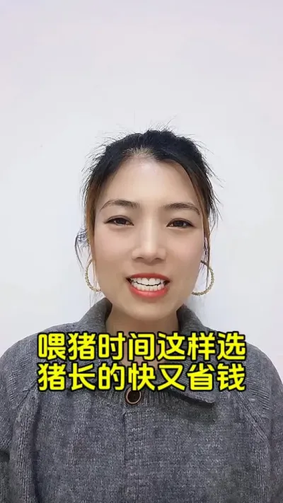 喂猪时间这样选，猪长的快又省钱#猪场管理 #科学养猪 #三农养猪 #养猪人不容易 #养猪计划
