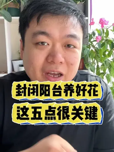 封闭阳台想要养好花，这五点做好很关键。 #养花 #养花小知识 #花卉 #花卉绿植 #盆栽