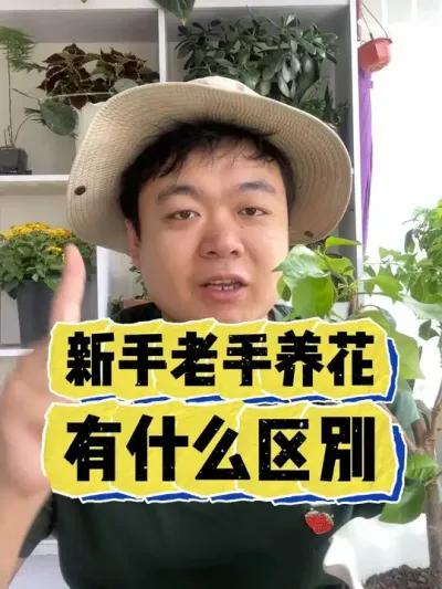 新手养花和老手有啥区别。 #养花 #养花小知识 #花卉 #花卉绿植 #盆栽