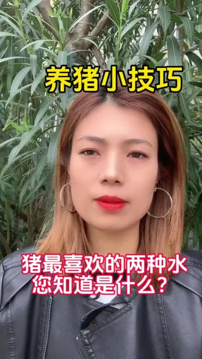 #每天分享养殖技术和经验 ##服务三农支持三农 #养猪人加油干 #科学养猪 #养猪技术
