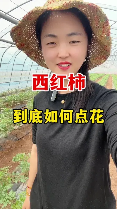 西红柿到底该如何点花？#西红柿种植#西红柿种植技术