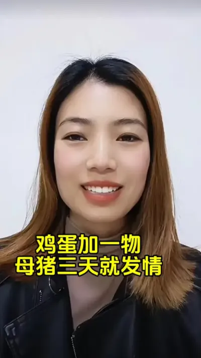 母猪#自繁自养母猪 #每天分享养猪知识 #母猪保健 #母猪 #三农养猪