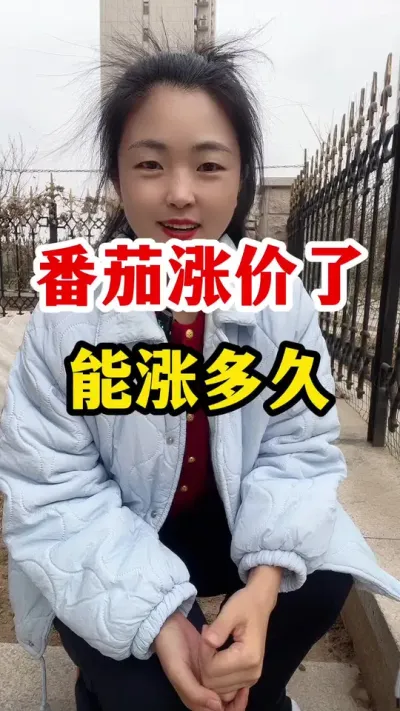 番茄这波涨价能持续多久？ #西红柿种植 #西红柿种植技术