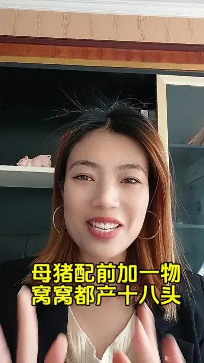 母猪配前加一物，窝窝都产十八头#自繁自养母猪 #每天分享养猪知识 #母猪保健 #母猪