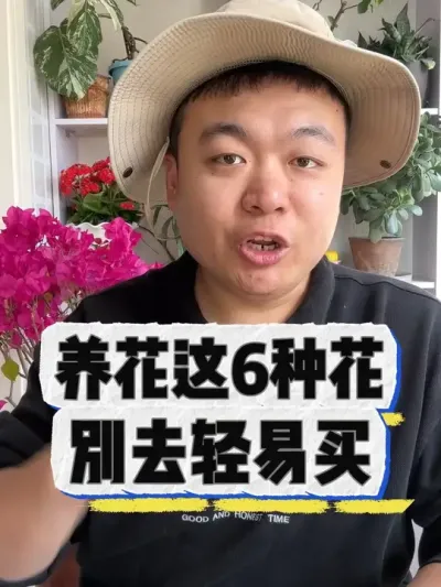 这六种花，轻易别去买。 #养花 #养花小知识 #花卉 #花卉绿植 #盆栽