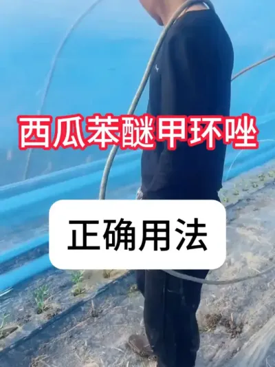 苯醚甲环唑在西瓜上怎么用？苯醚甲环唑用法 #农业种植 #种植小技巧 #抖音助农 #西瓜 #真赞农业