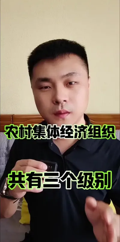 农村集体经济组织共有三个级别#农村 #农村集体经济组织 #农民