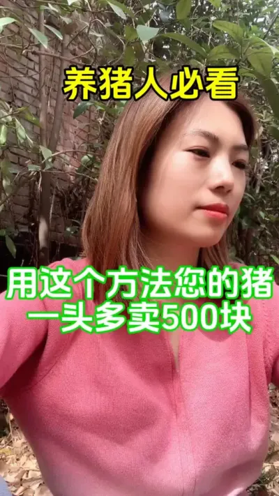 养肥猪#养猪#养猪人加油干  #养猪人的日常生活 #每天分享养猪知识 #