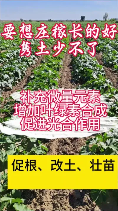 选择丰向标农业-得到特肥，为您增产助力#丰向标