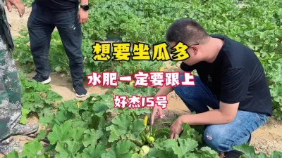 好的品种要有适合它的的种植模式#种植小技巧 #丰向标农业