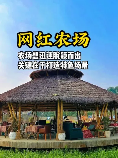 网红农场出圈要素 农场想要快速脱颖而出，关键点在于打造特色场景#游云文旅 #规划设计 #乡村振兴 #农庄运营 #农庄设计