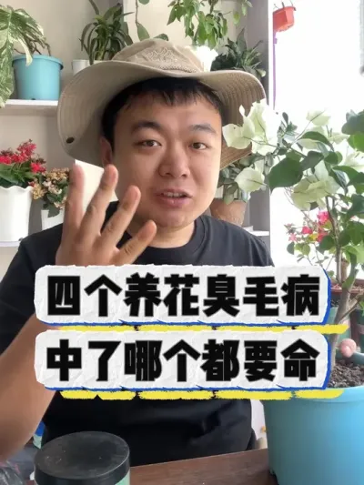 四个养花臭毛病，中了那个都要命。 #养花 #养花小知识 #花卉绿植 #花卉 #盆栽