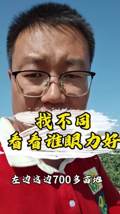 找不同，看看谁的眼力好#丰向标