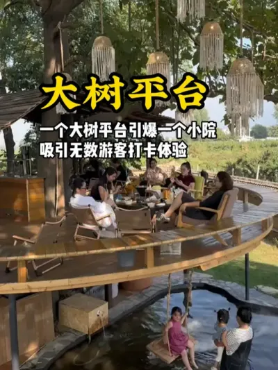 大树平台 一个简单的大树平台，就能成功带火小院流量，每天都能吸引很多游客打卡体验#游云文旅 #规划设计 #乡村振兴 #小院设计
