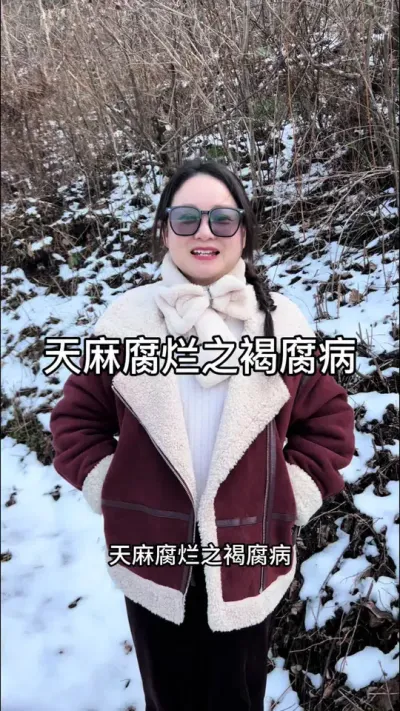 天麻腐烂之褐腐病 #天麻种子 #技术分享 #天麻种植 @抖音小助手