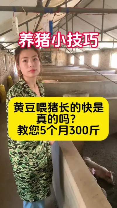 #养猪人必看 #科学养猪技术 #加油养猪人#养猪场