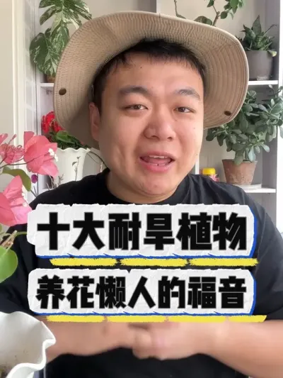 十大耐旱植物，养花懒人的福音来啦。 #养花 #养花小知识 #花卉 #花卉绿植 #盆栽