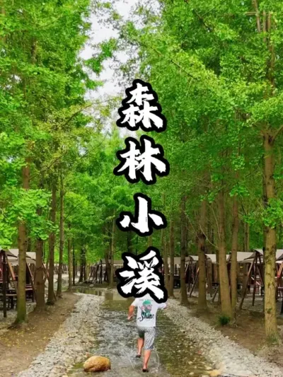 森系场地通过挖出一条溪流，让客流翻了好几倍#游云文旅 #规划设计 #乡村振兴 #周二课堂