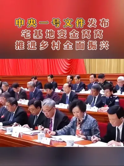 农村宅基地越来越值钱了，中央一号文件发布，乡村将全面推进#乡村振兴#一号文件 #宅基地 #乡村建设