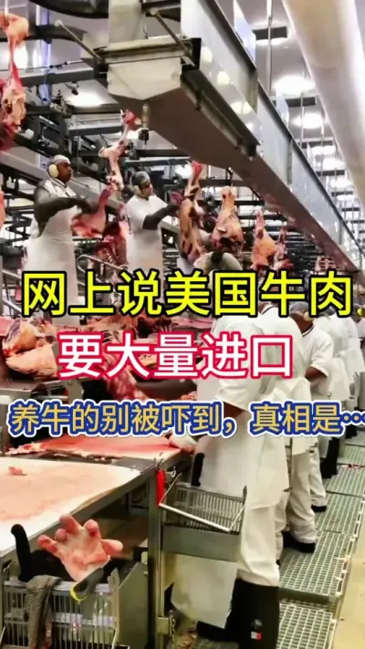 美国牛肉要大量进口，我们养殖户不用慌，真相是&hellip;&hellip;&hellip;#养牛 #养牛人 #牛羊养殖 #养牛技术 #农村养牛