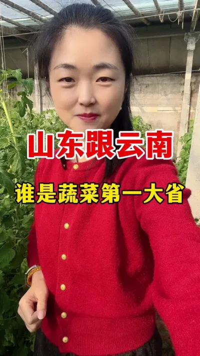 山东跟云南到底谁才是蔬菜第一大省？ #西红柿种植 #西红柿种植技术