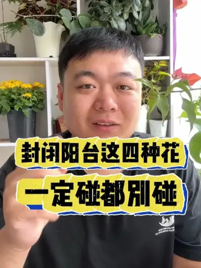 封闭阳台养花，这四种花一定先别碰。 #养花 #养花小知识 #花卉 #花卉绿植 #盆栽