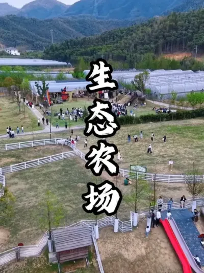 这家生态农场依靠独特体验，年营收三百万#游云文旅 #规划设计 #农场设计 #周二课堂