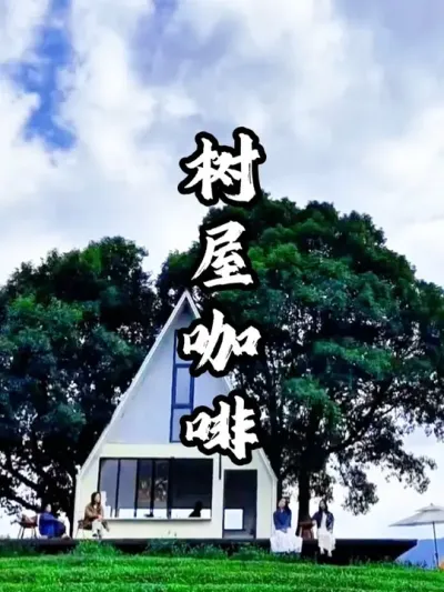 茶园依托大树打造独特景观，吸引全城游客打卡#游云文旅 #规划设计 #乡村振兴 #周二课堂