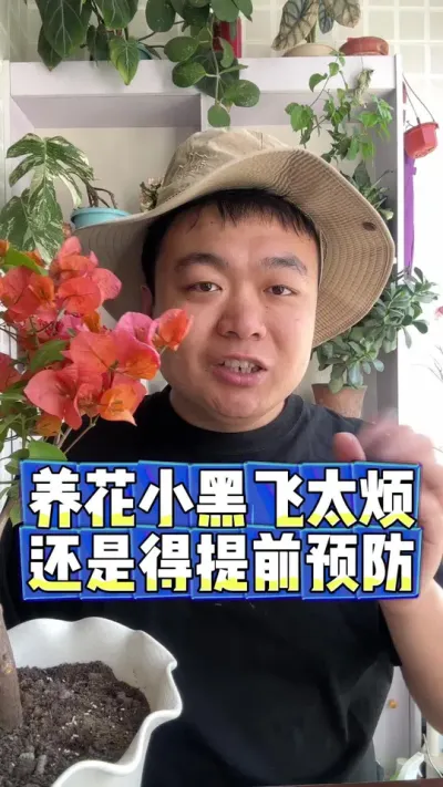 养花小黑飞太烦，提前预防很重要。 #养花 #养花小知识 #花卉 #花卉绿植 #盆栽