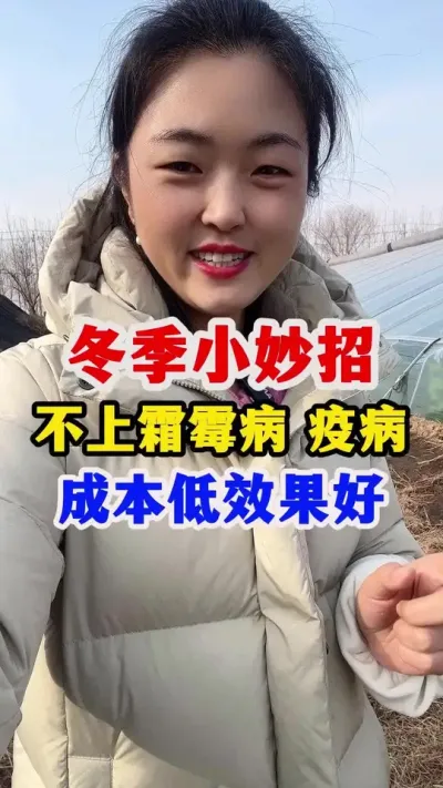 分享小妙招冬季不上霜霉疫病等 #西红柿种植 #西红柿种植技术