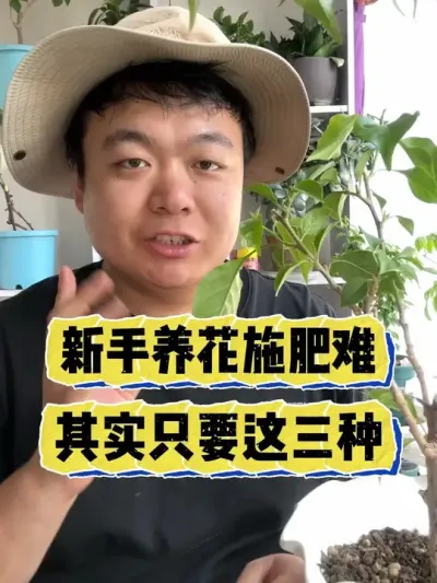 新手养花施肥难，其实只要这三种。 #养花 #养花小知识 #花卉 #花卉绿植 #盆栽
