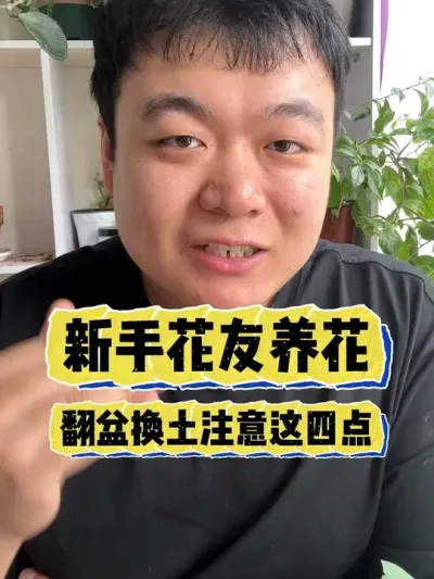 新手在家里养花如何换盆，可以看下这四点。 #养花 #养花小知识 #花卉 #花卉绿植 #盆栽